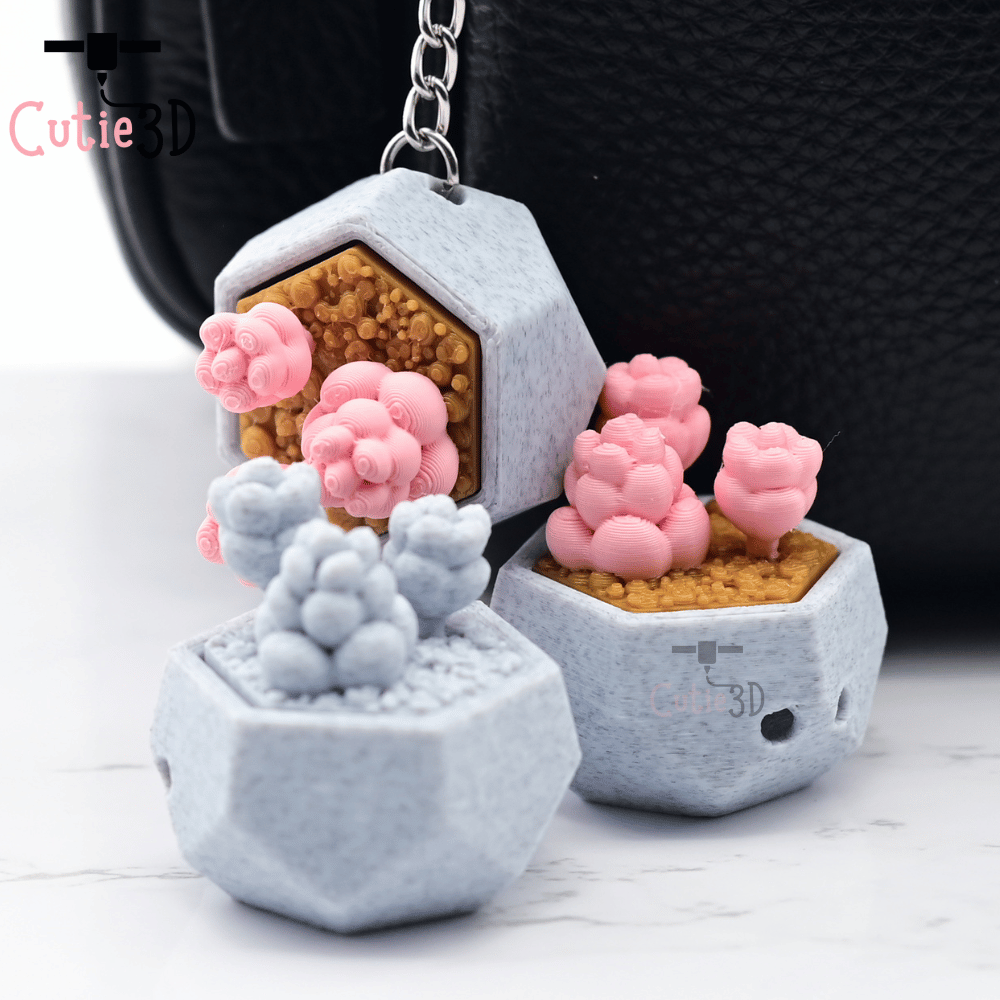 1000X1000-Cutie3D The Dreamy